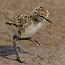 thumbs/IMG_6078.jpg